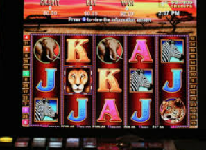 森林舞会电玩城桌面版客户端